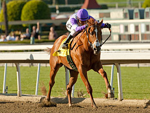 I'll Have Another: From Bargain to Contender I'll Have Another: From Bargain to Contender
