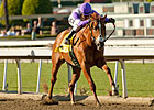 I'll Have Another: From Bargain to Contender I'll Have Another: From Bargain to Contender