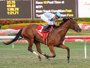 I Lost My Choo Pulls Honey Fox Upset I Lost My Choo Pulls Honey Fox Upset