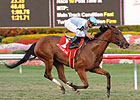 I Lost My Choo Pulls Honey Fox Upset