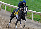 I Want Revenge Works at Churchill