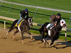 I Want Revenge Posts Derby Workout I Want Revenge Posts Derby Workout