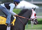 Eskendereya Takes Spot in Derby Lore Eskendereya Takes Spot in Derby Lore