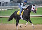 I Want Revenge in Bullet Work for Derby I Want Revenge in Bullet Work for Derby