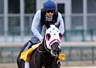 I Want Revenge Tops NTRA 3-Year-Old Poll I Want Revenge Tops NTRA 3-Year-Old Poll