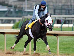 Haskin's Derby Report: The Picks Haskin's Derby Report: The Picks