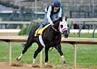 Haskin's Derby Report: The Picks Haskin's Derby Report: The Picks