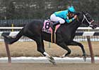 Steve Haskin's Derby Dozen - 03/24/09