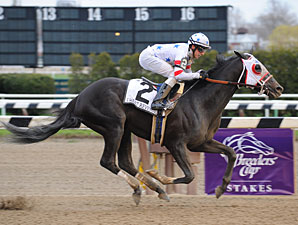 I Want Revenge On Top in Final KDFW Pool I Want Revenge On Top in Final KDFW Pool