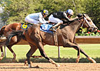 Big Names Line Up For Empire Classic Big Names Line Up For Empire Classic