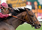 Icabad Crane Wakes Up in Tesio Stakes Icabad Crane Wakes Up in Tesio Stakes