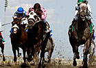 Ice Bear Shoots For Eclipse Stakes Repeat Ice Bear Shoots For Eclipse Stakes Repeat