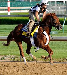 Ice Box Warms Up at Churchill Downs Ice Box Warms Up at Churchill Downs