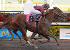 Grade I Winner Ice Box Retired to Calumet Grade I Winner Ice Box Retired to Calumet