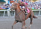 Ice Box Turns Up Heat on Derby Trail