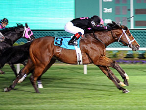 Icon Ike Cuts Back a Bit in Turf Sprint Icon Ike Cuts Back a Bit in Turf Sprint
