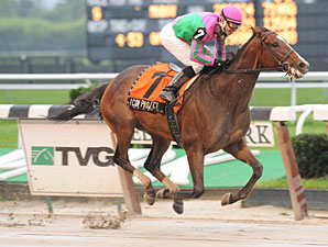 Icon Project Retired With Tendon Injury Icon Project Retired With Tendon Injury