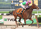 Icon Project Retired With Tendon Injury