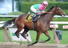 Icon Project Runs Smasher in Personal Ensign Icon Project Runs Smasher in Personal Ensign