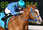 Louisiana Breeders Announce 2013 Champions Louisiana Breeders Announce 2013 Champions