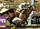 Idiot Proof BC Sprint Bound After Ancient Title Scorcher Idiot Proof BC Sprint Bound After Ancient Title Scorcher