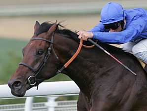 Iffraaj Sets European Sire Record Iffraaj Sets European Sire Record
