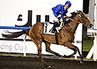 Ihtimal Goes for More Classic Glory at Meydan Ihtimal Goes for More Classic Glory at Meydan