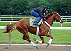 I'll Have Another's Belmont Status In Doubt
