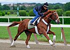 I'll Have Another Bucking Trends in Belmont