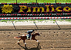 2012 Preakness - Predict the Order 2012 Preakness - Predict the Order