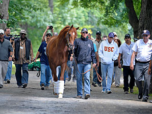 Move to Belmont Stakes Barn Orderly Move to Belmont Stakes Barn Orderly
