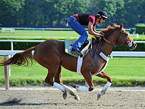 I'll Have Another Visits Belmont Park Paddock I'll Have Another Visits Belmont Park Paddock