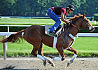I'll Have Another Visits Belmont Park Paddock