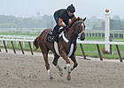 I'll Have Another Gallops at Belmont Park