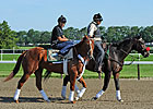 Haskin's Belmont Report: Crown Harder Now