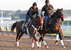 I'll Have Another Goes Out for Early Gallop I'll Have Another Goes Out for Early Gallop
