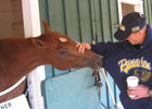 I'll Have Another 'A Very Happy Horse'
