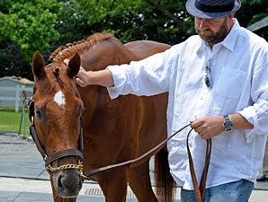 O'Neill Content if His Horse Doesn't Win HOY O'Neill Content if His Horse Doesn't Win HOY