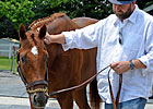 O'Neill Content if His Horse Doesn't Win HOY