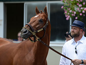 I'll Have Another Out of Belmont, Retired I'll Have Another Out of Belmont, Retired