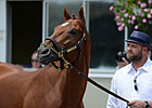 I'll Have Another Out of Belmont, Retired