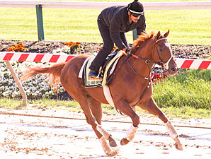 I'll Have Another: No Work Before Preakness I'll Have Another: No Work Before Preakness