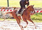 I'll Have Another: No Work Before Preakness 