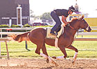 Derby Winner to Saddle Indoors for Preakness 