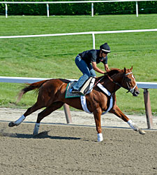 No Premium in Stud Value from Triple Crown? No Premium in Stud Value from Triple Crown?