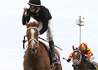 I'm a Chatterbox Takes Rachel Alexandra I'm a Chatterbox Takes Rachel Alexandra