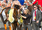 Featured Horse Profile: I'm A Dreamer
