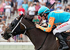 Catalano Sends Trio to Cardinal Handicap Catalano Sends Trio to Cardinal Handicap