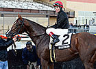 Is Imagining the Next Phipps Stable Star? Is Imagining the Next Phipps Stable Star?