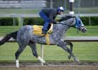 Calder Drawing Nice Lineup For Florida Million Day